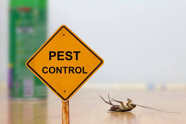 Pest Control Kota Bandung