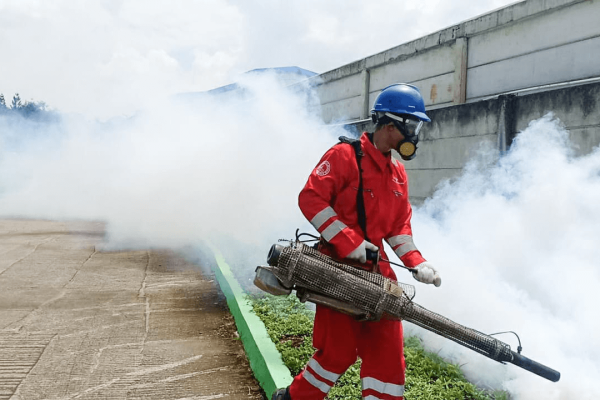Fogging Nyamuk