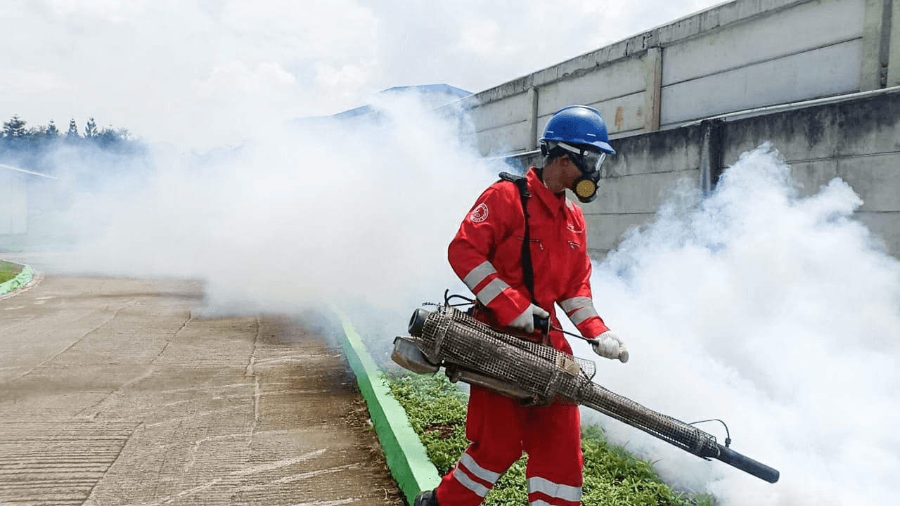 Fogging Nyamuk