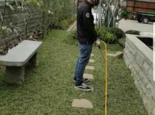 Jasa Pembasmi Rayap Bandung