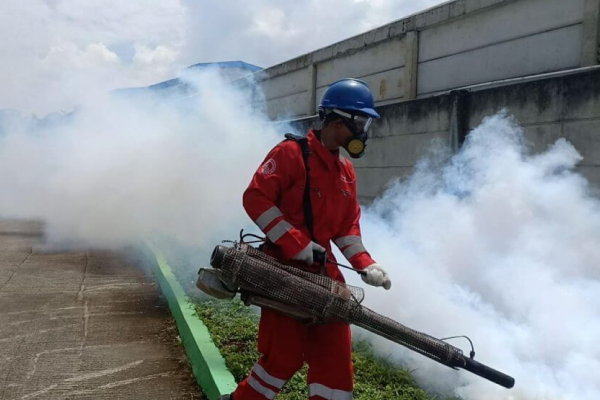Jasa Fogging Nyamuk Bandung