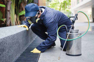 Jasa Pest Control Bandung