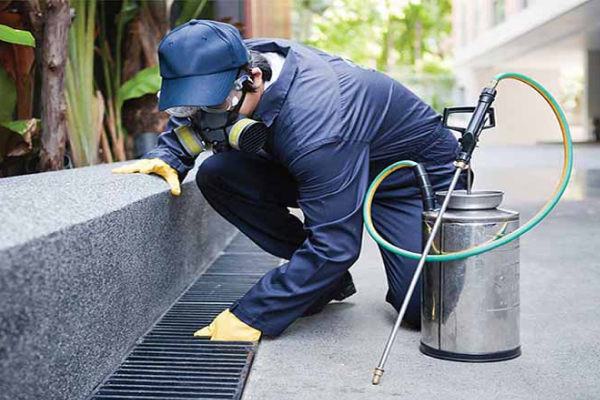 Jasa Pest Control Bandung